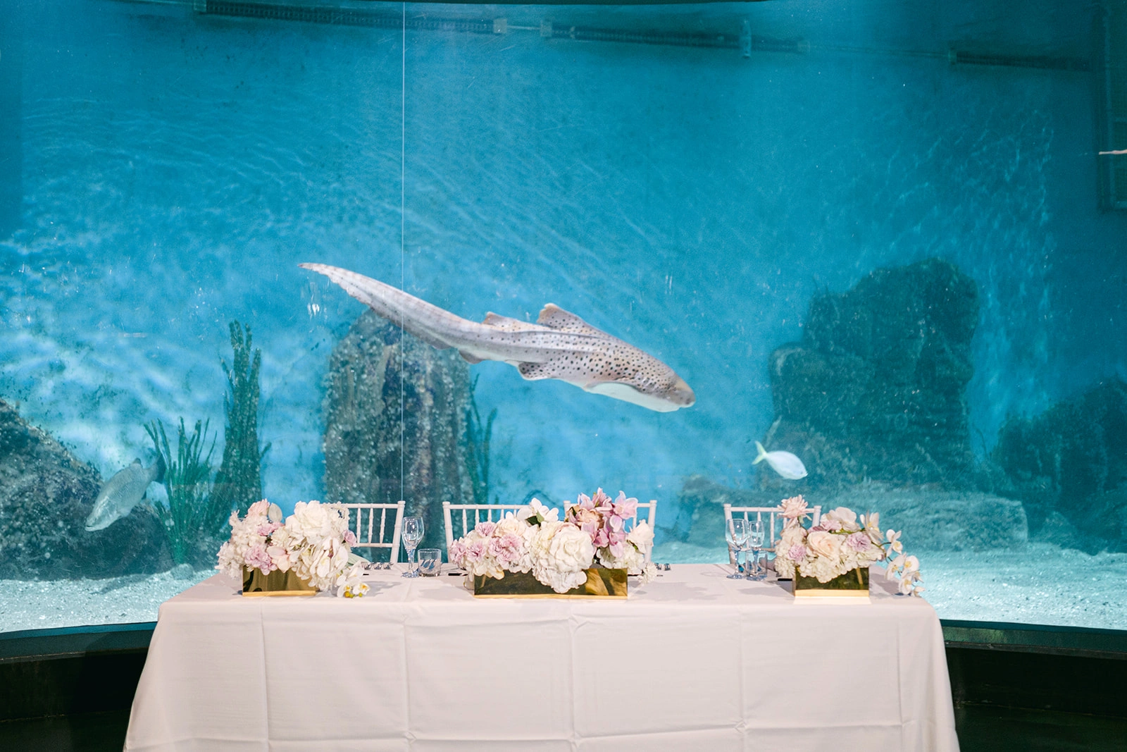 ETWed-LenaLimPhotography-669