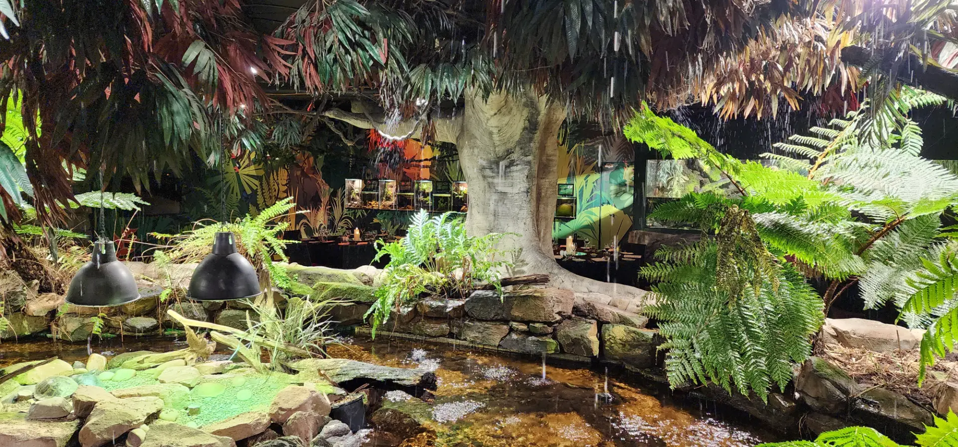 SEALIFE-Rainforest-Setup-3