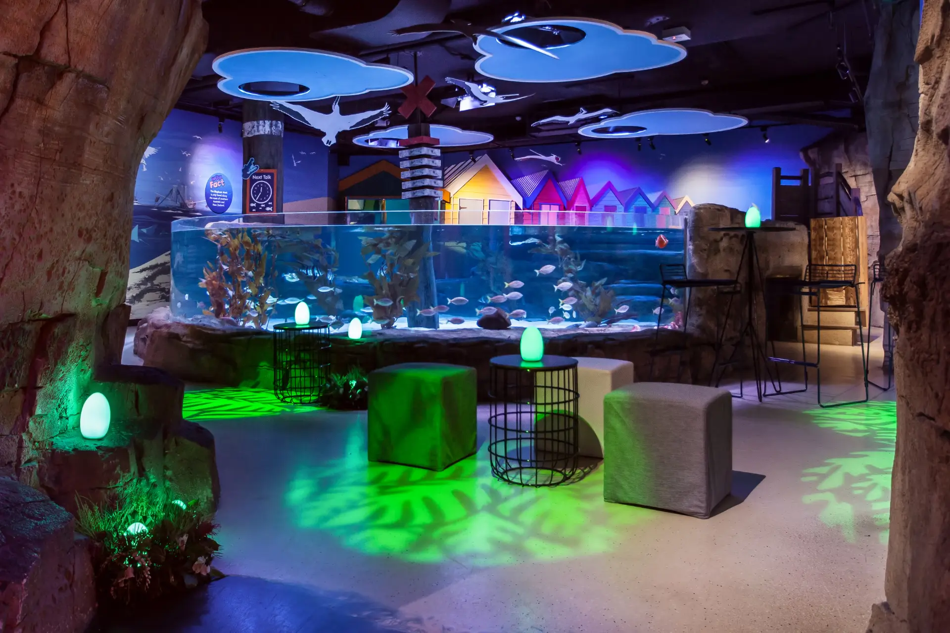 SEALIFE-Rainforest-Setup-5