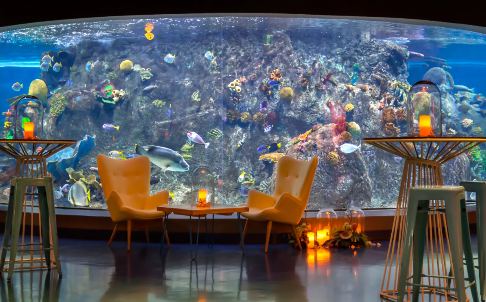 SEALIFE-CoralAtoll-Hero-3