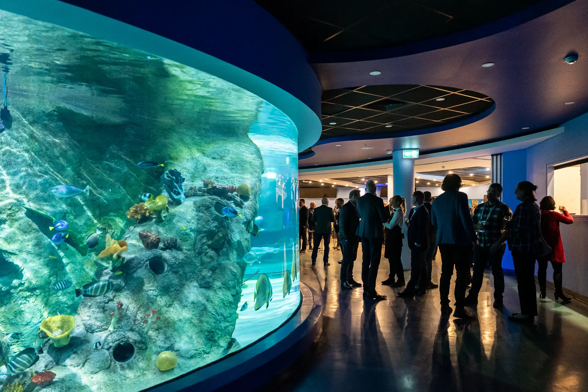 SEALIFE-CoralAtoll-People-4