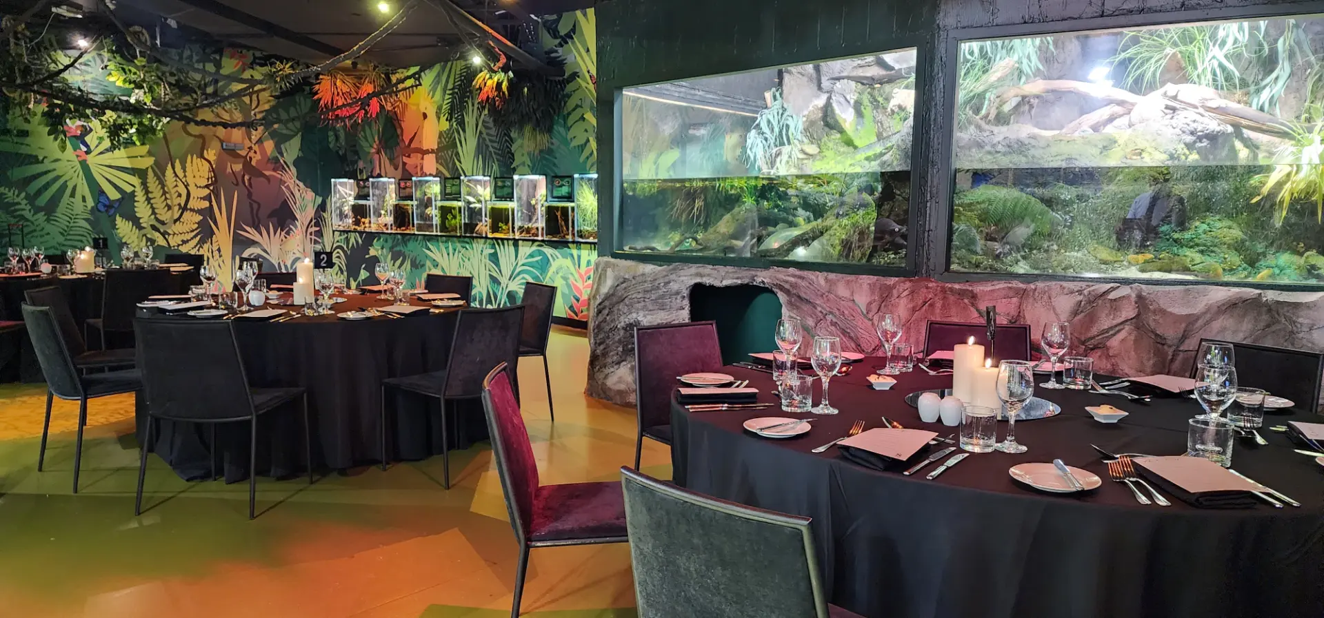 SEALIFE-Rainforest-Setup-2