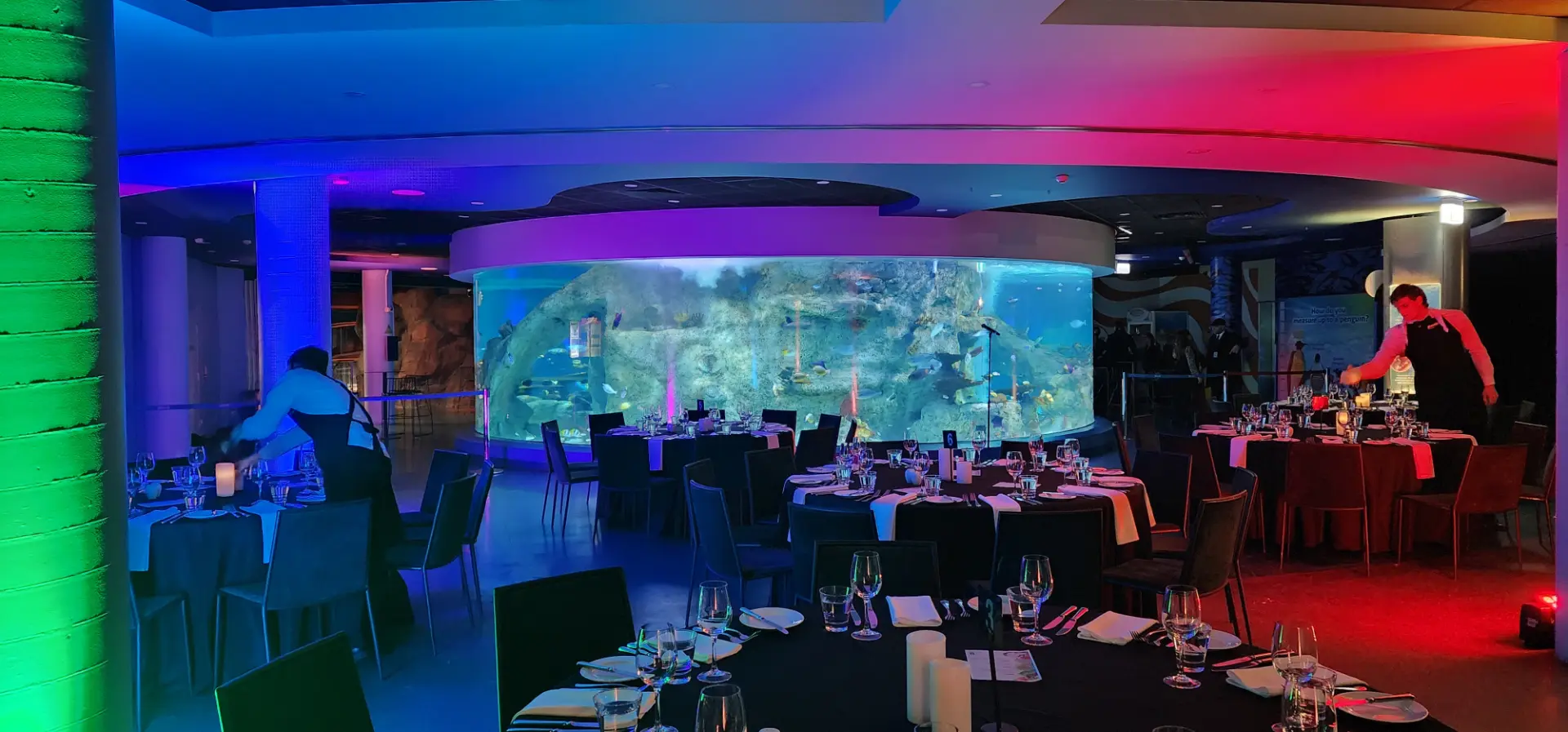 SEALIFE-CoralAtoll-Setup-2