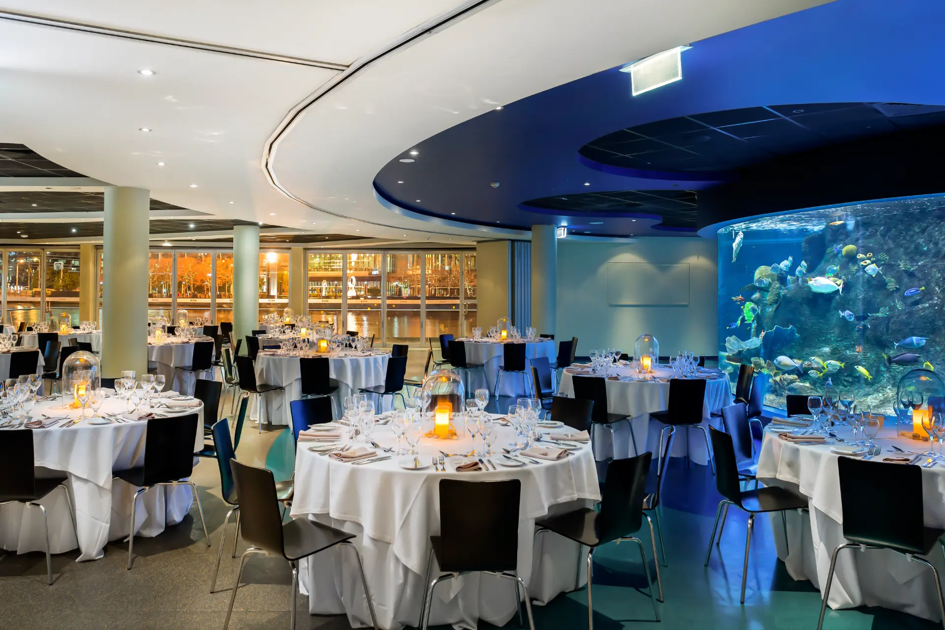 SEALIFE-CoralAtoll-Setup-3