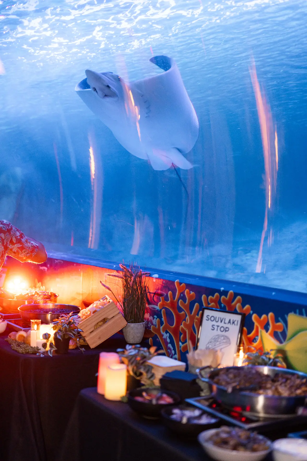 SEALIFE-Oceanarium-Detail-1