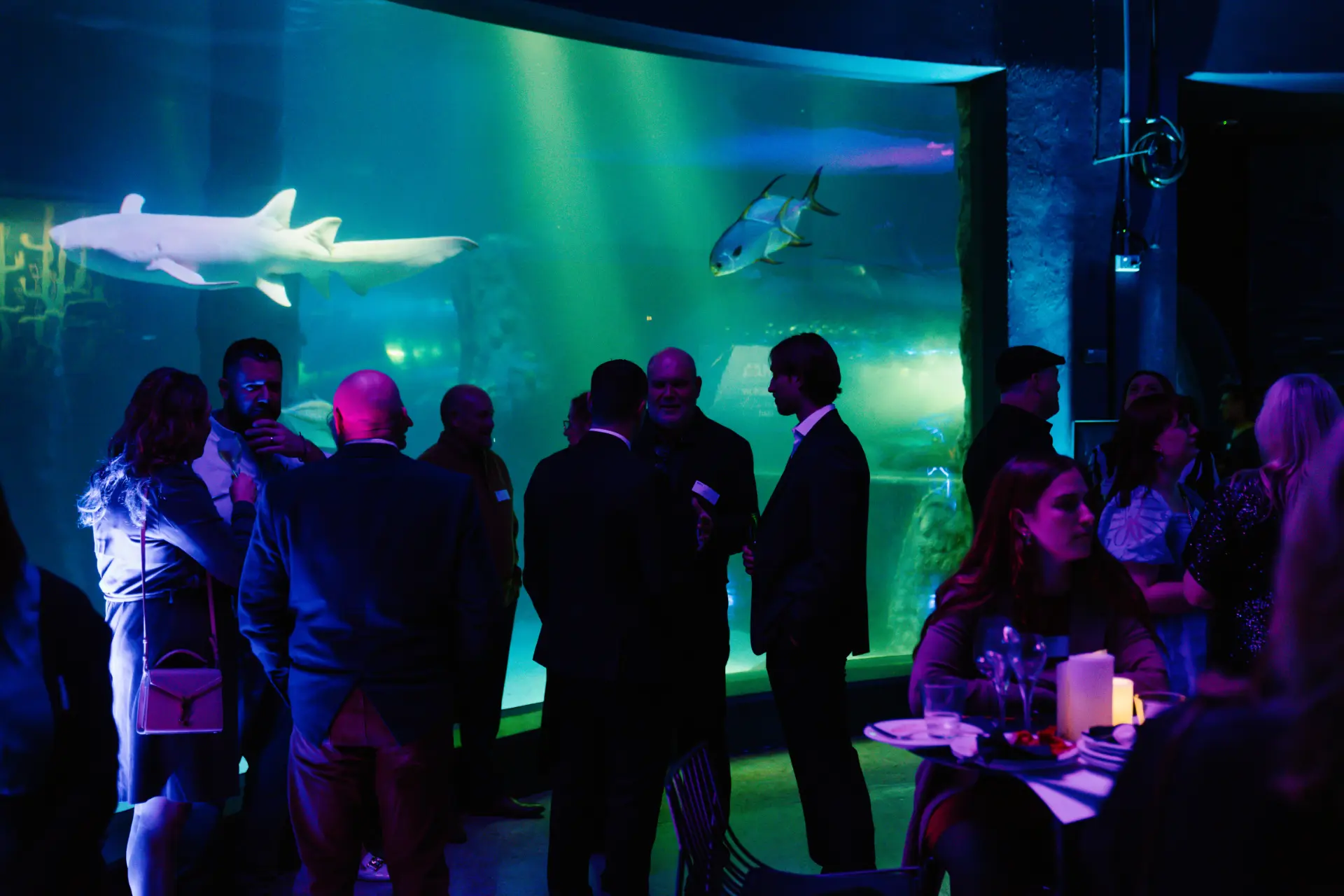 SEALIFE-Oceanarium-People-5