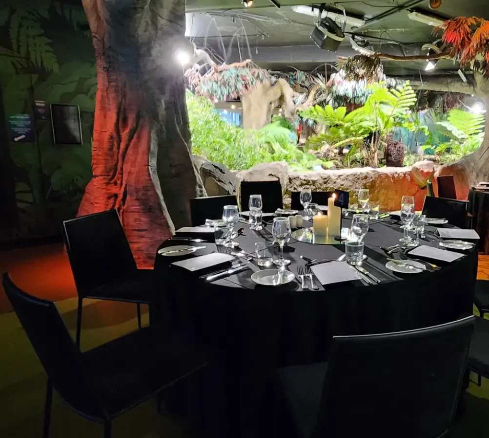 SEALIFE-Rainforest-Setup-1