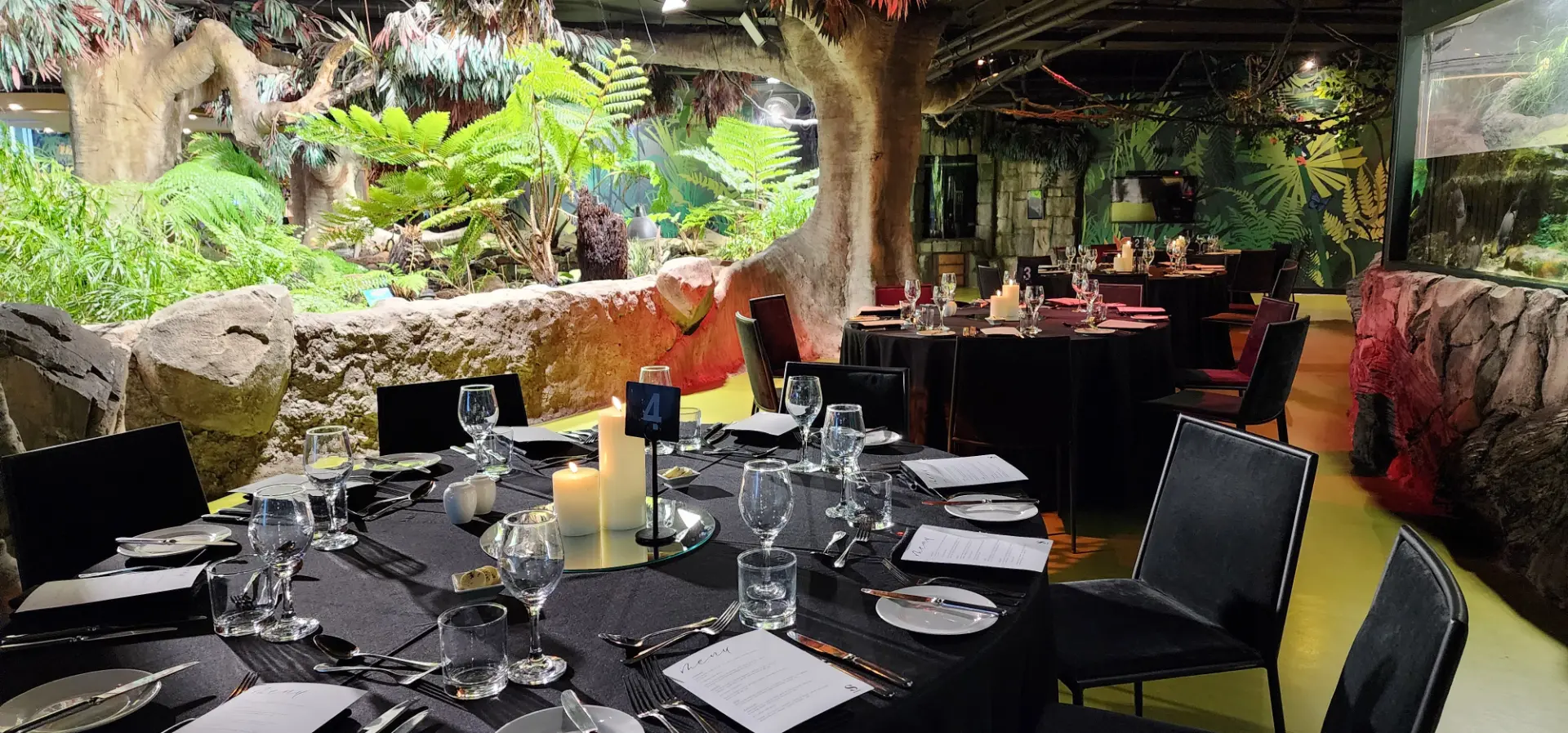 SEALIFE-Rainforest-Setup-4