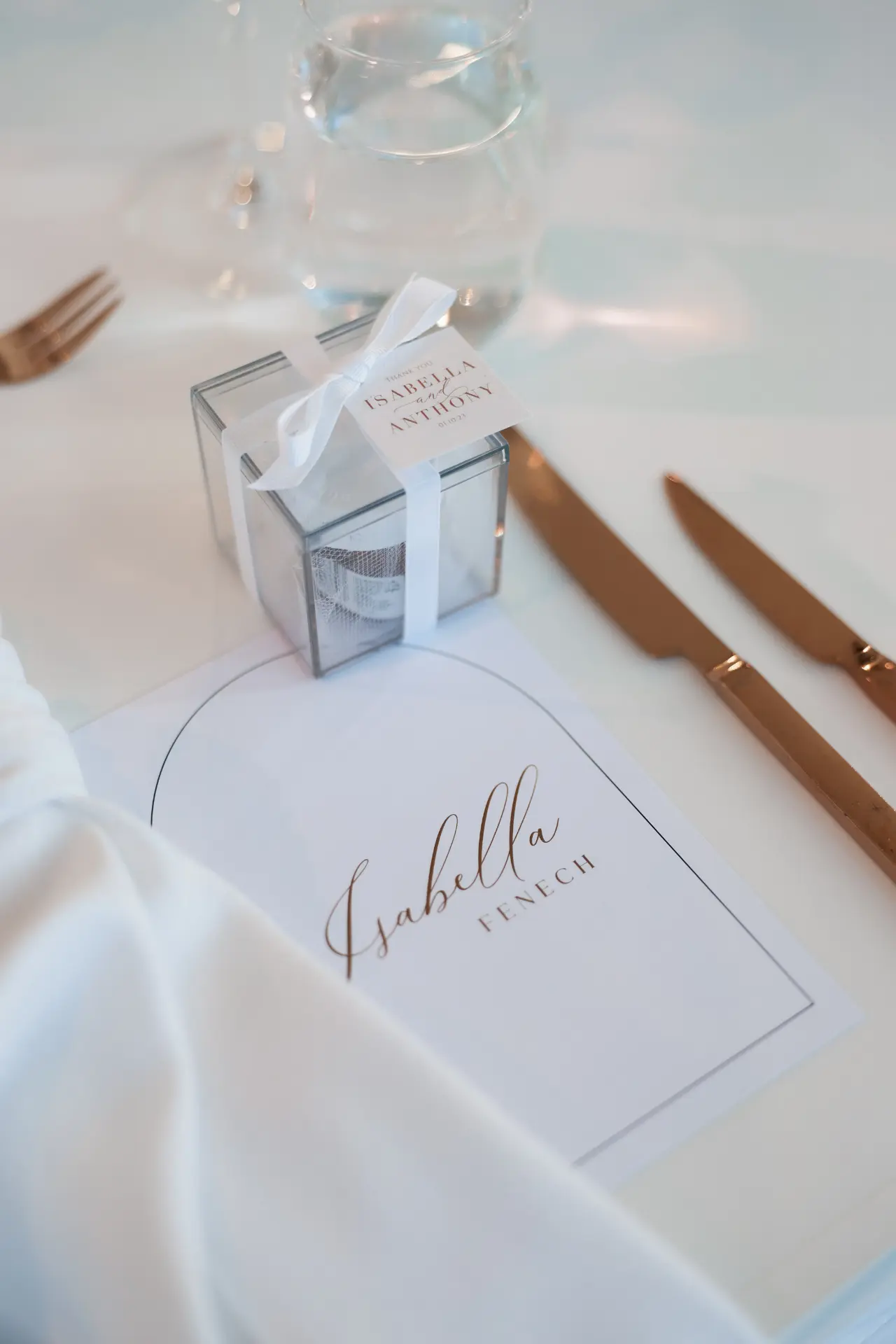 FeaturedWedding-IsabellaAnthony-Aerial-12