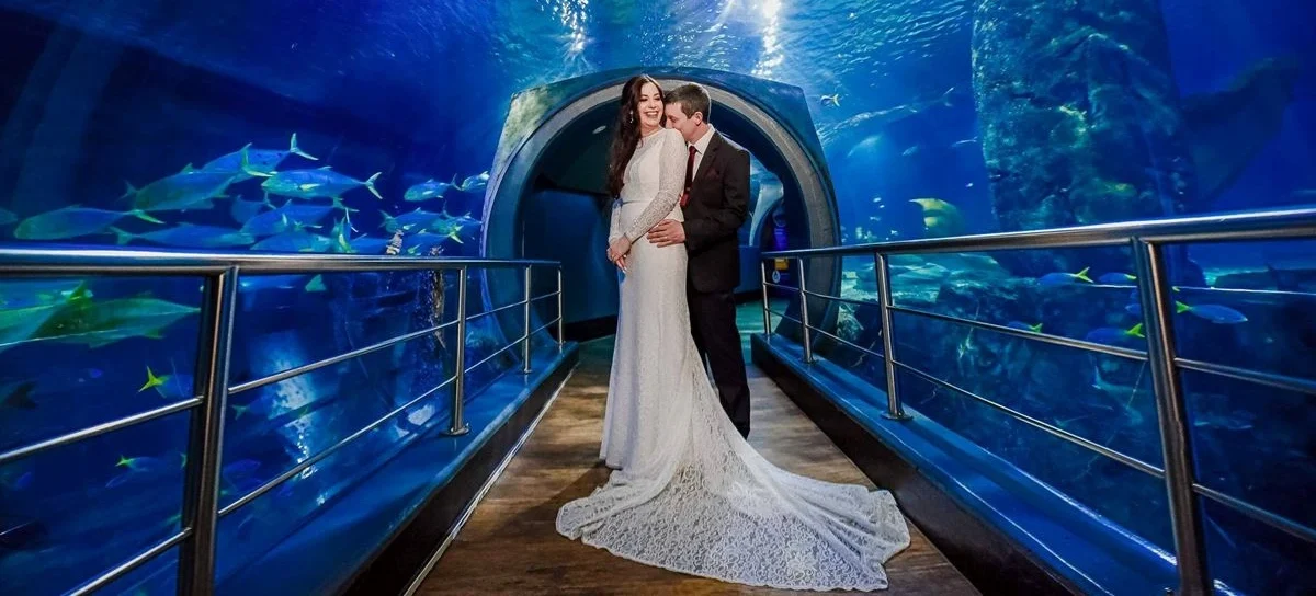 1e7d32ec-432a-45f1-b23c-dae4a3ba2768-Tunnel Hero shot