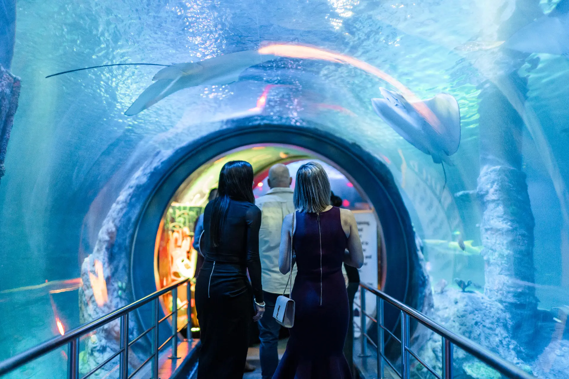 SEALIFE-Oceanarium-People-2