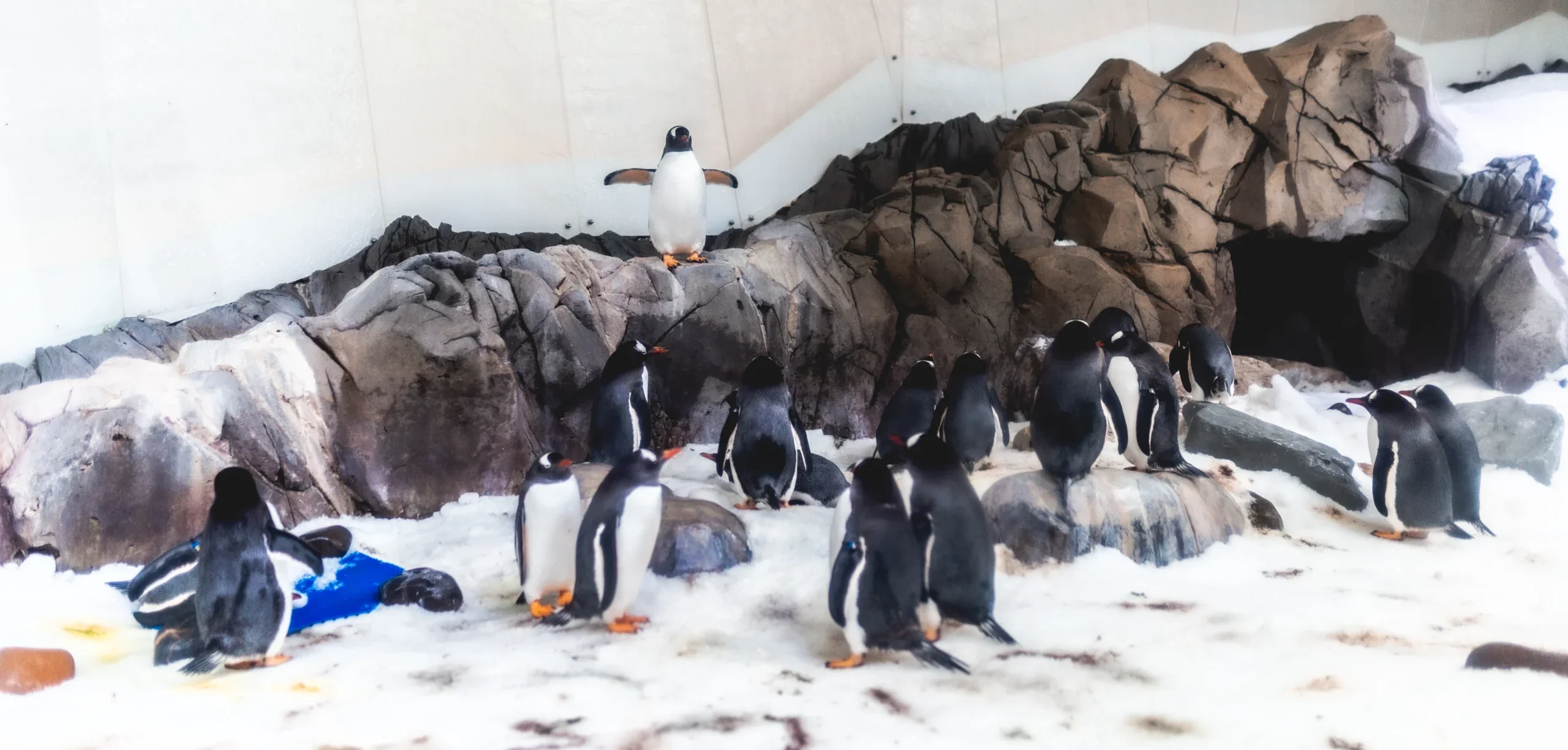 [24460] GloBird Energy - Christmas Party Sea Life 2023 CHRISTMAS PARTY 08.12.23-11