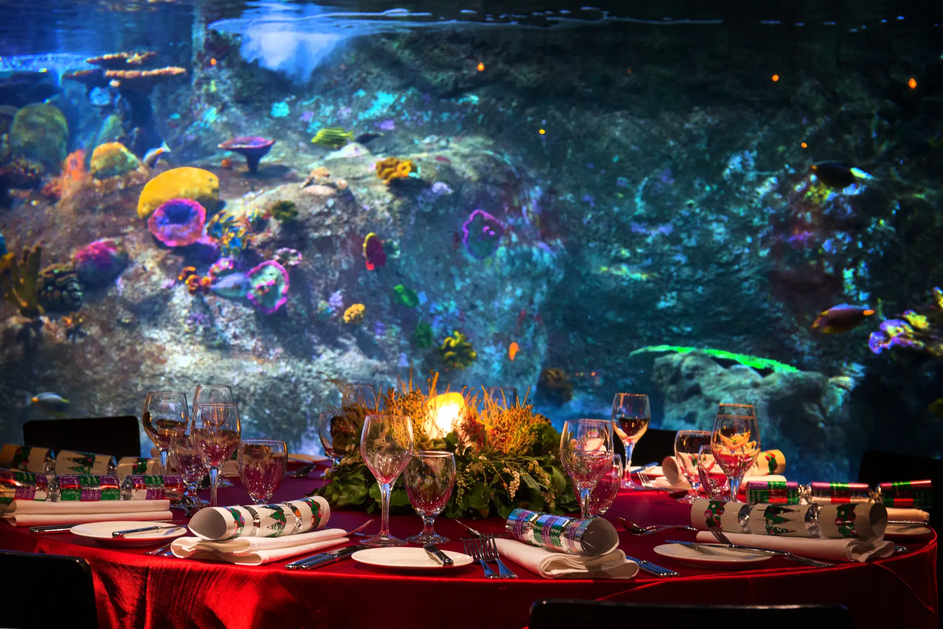 SEALIFE-Oceanarium-Detail-2