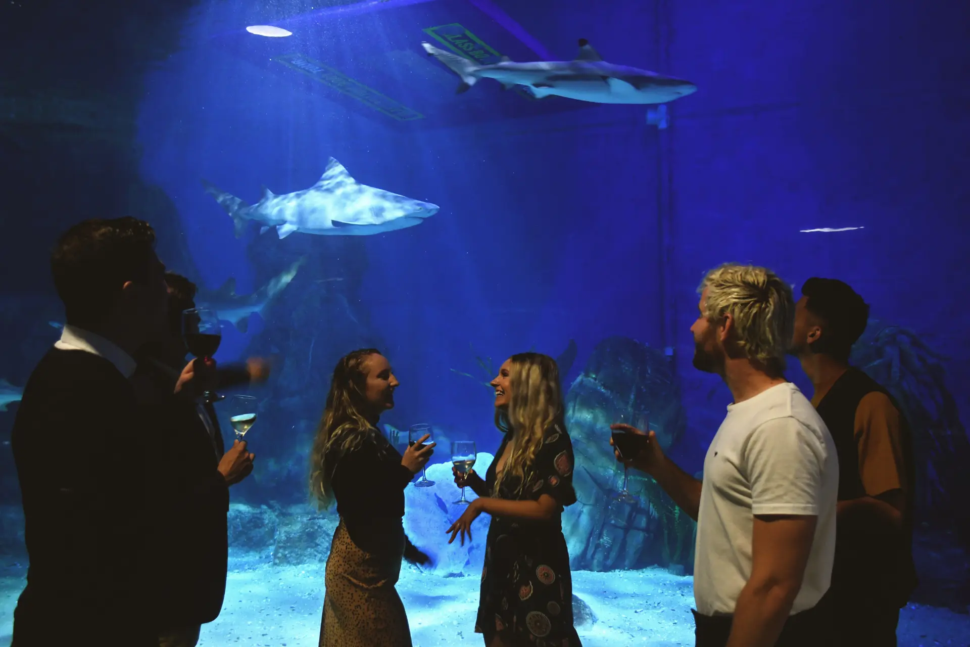 SEALIFE-Oceanarium-People-10