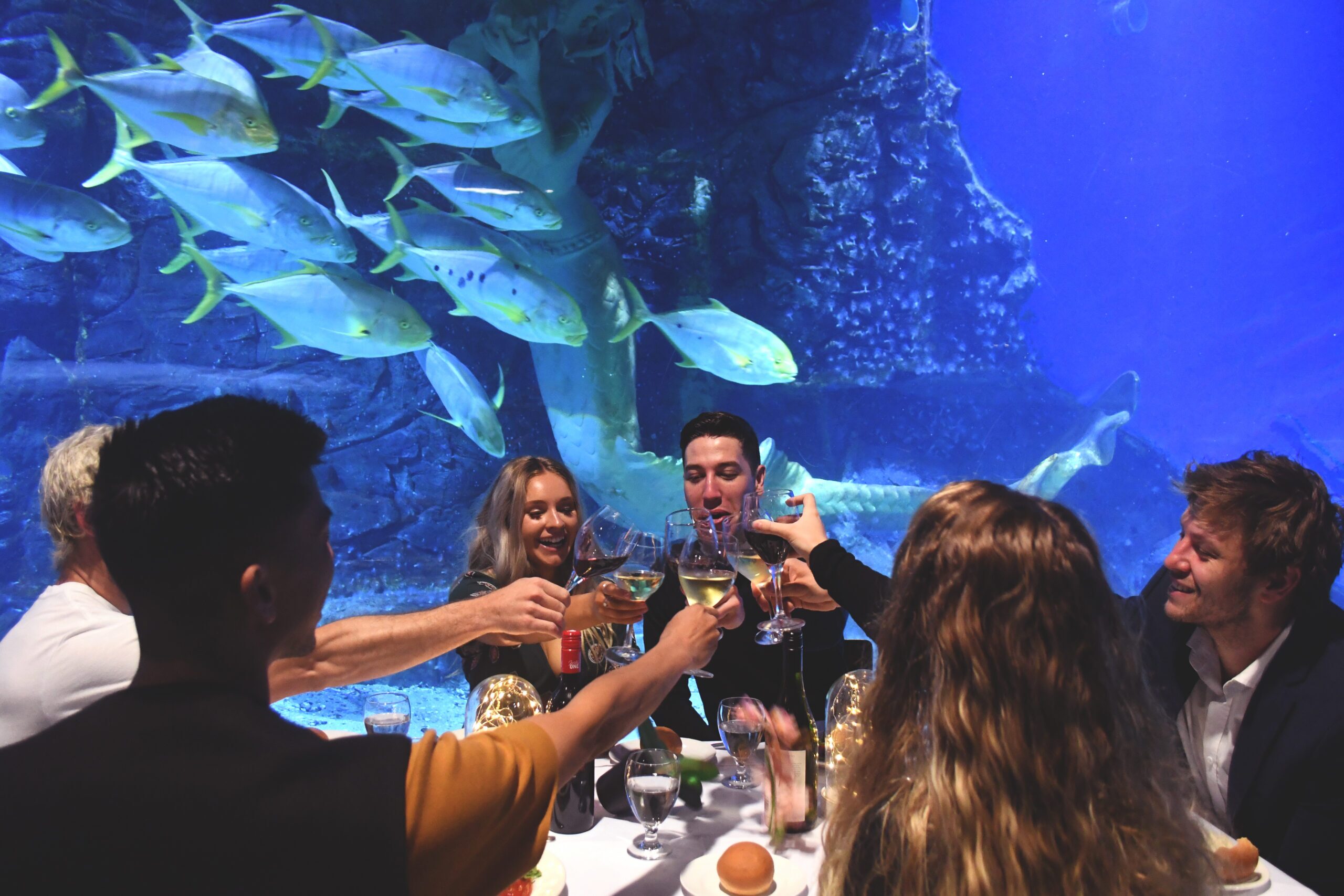 Oceanarium models 5 (2)